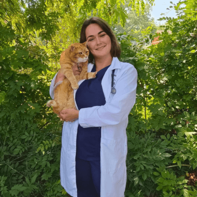 Dr. Bassler